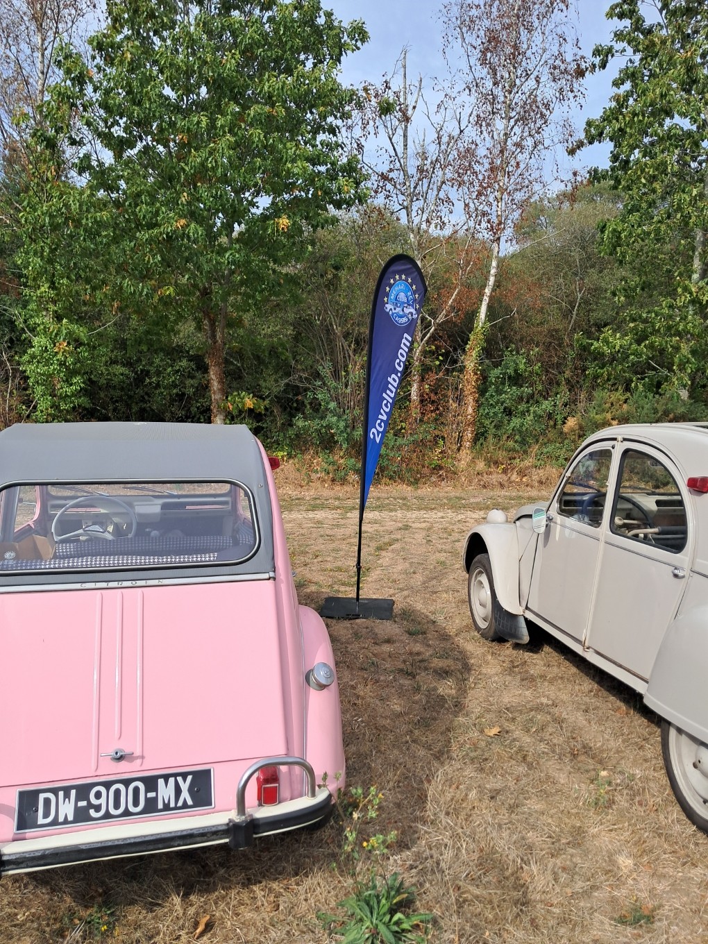 10 6