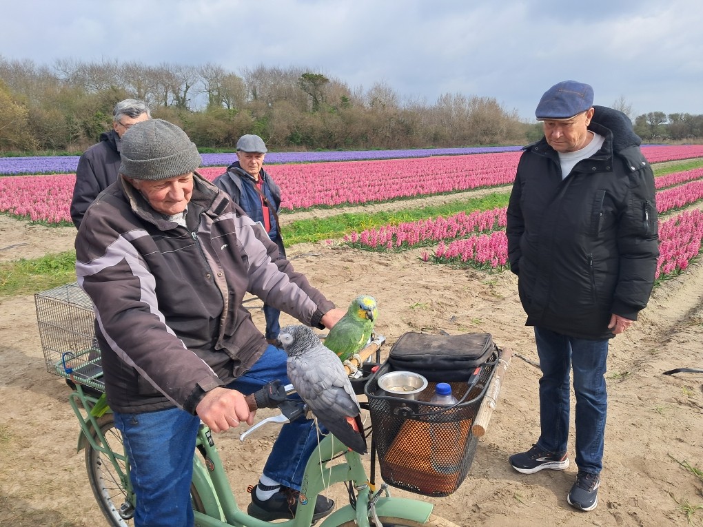 Sortie La Torche 2025