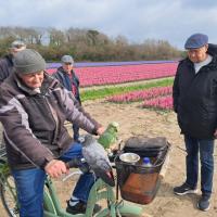 Sortie La Torche 2025