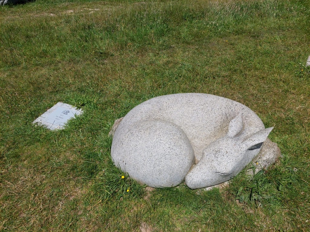 67 3